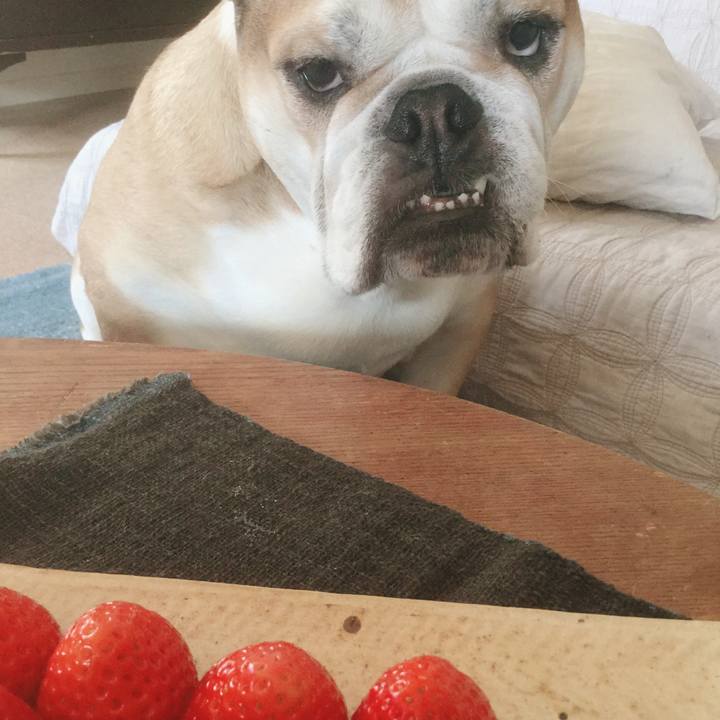 16040e1a d033 4c96 8f65 be1d001cd063