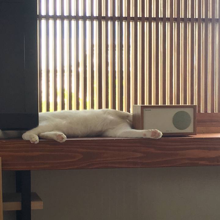 160474e4 2342 4b64 861c 02c0c669c3d9