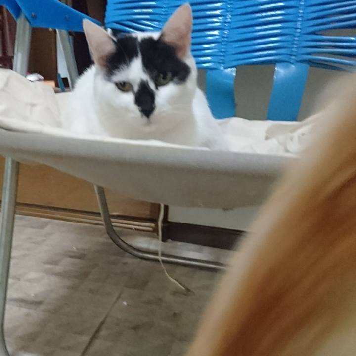 160579b3 d00d 4026 8461 c2881bf2f0d1