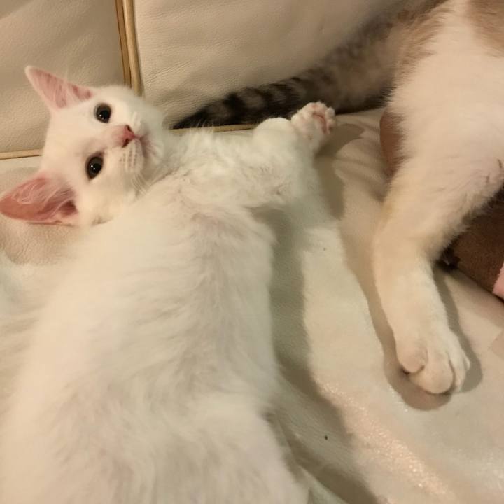 1605ec5c 06c8 417f aaa6 c90fa2749016