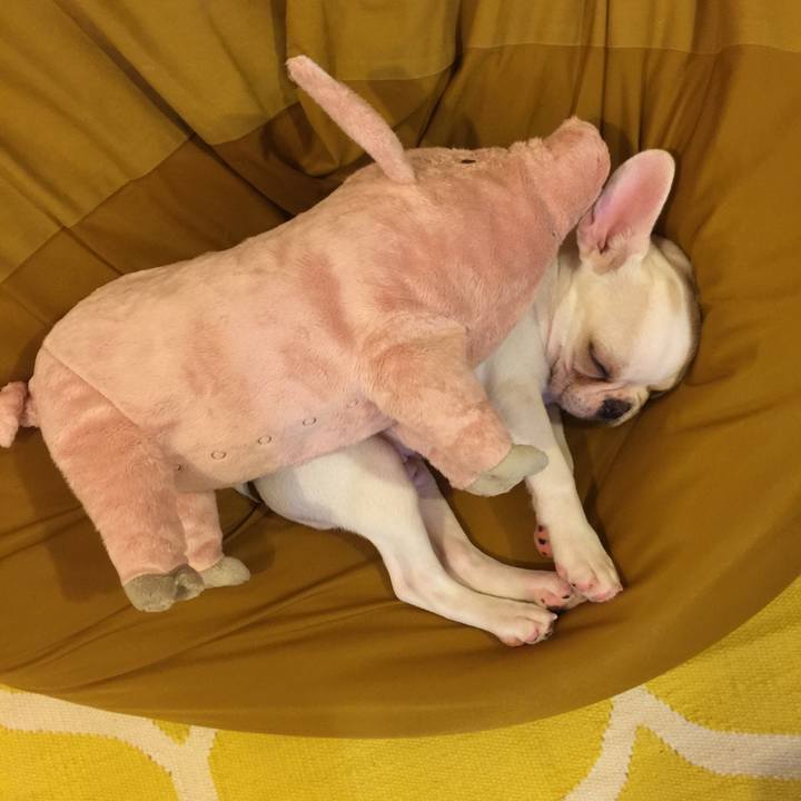 1606818c 8793 4094 916f fcf74e428435