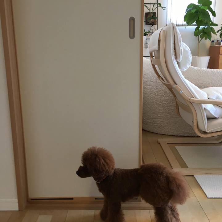 16068c5b 8c62 41ea 86a9 838e4308138f