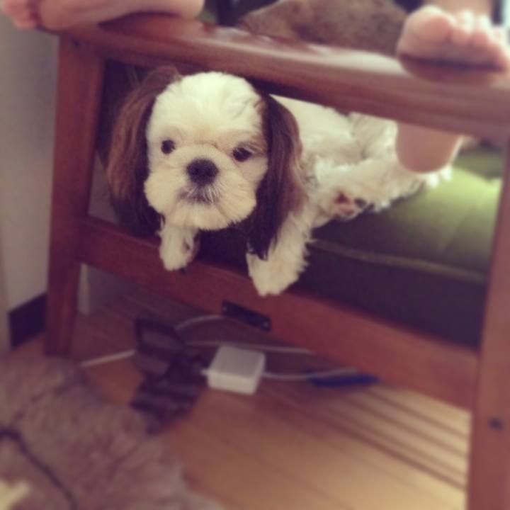 16077d5a 39e8 42e1 9839 235b3688c9b0