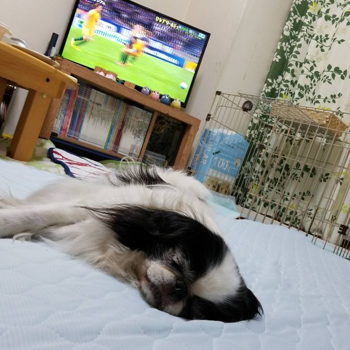 16077e5f 7358 4b34 be75 7fafb097073c