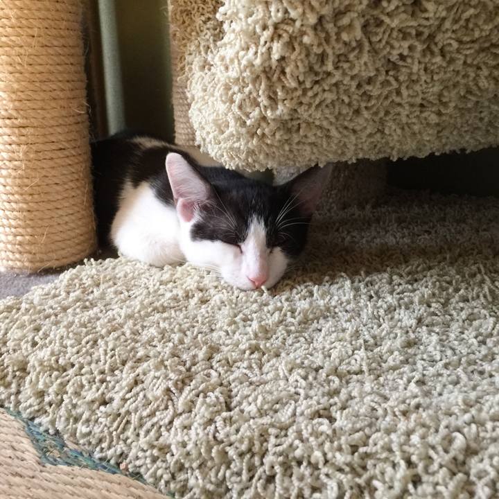 1607ae91 879f 4df9 8869 68857e10eaad