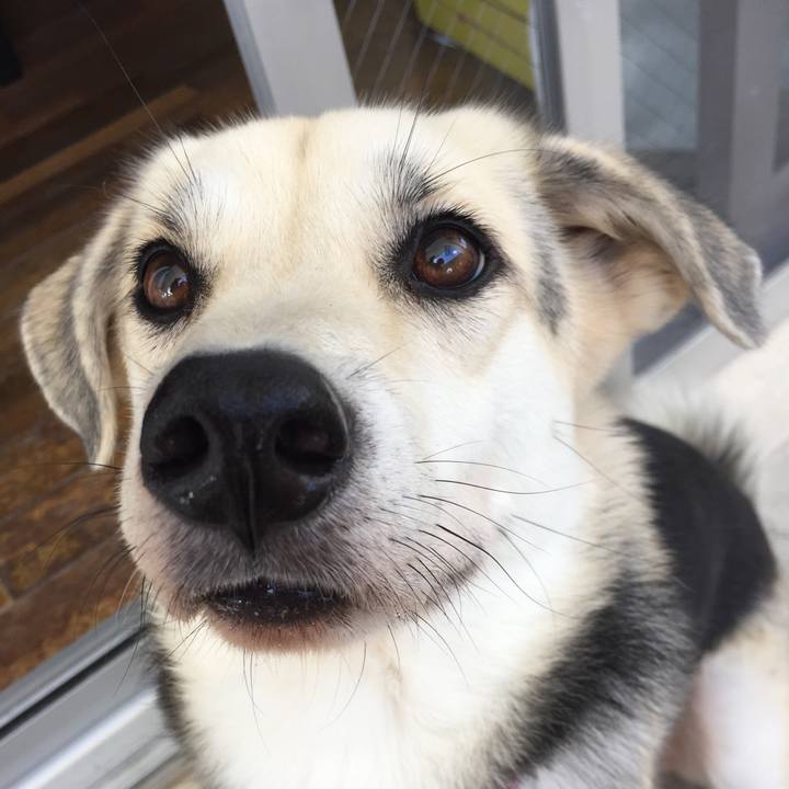 16090fee 8628 41eb 848d 038a6bcaa6d5