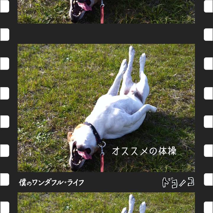 16091a0e 7564 4258 abd4 7dfff97300e4