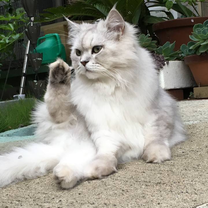 16091e43 0bb6 4206 9e24 b01ef948d297