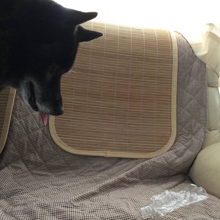 1609209f 1f8e 4448 b851 b636df022378