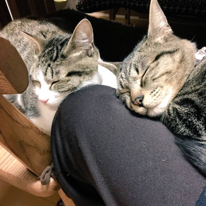 160931f3 4099 406e b3b1 59f437aaed3a