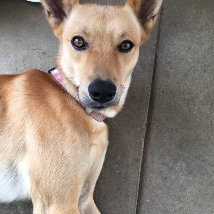 160a21db cfc7 48bb be96 33629e2ae9e8