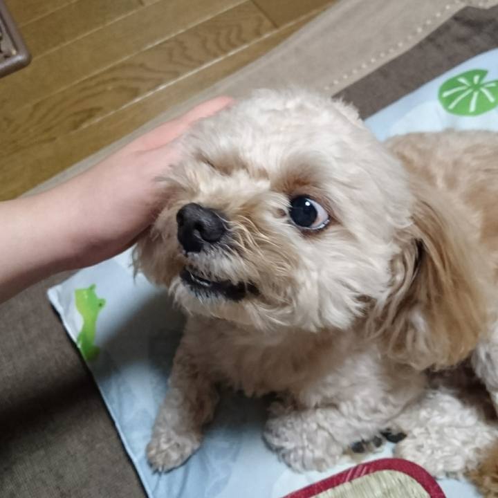 160aa44f 7953 4477 bdf5 c949bcd2fdfe