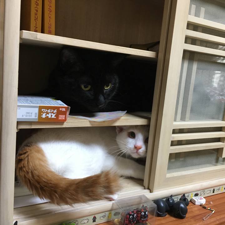 160b0b70 2494 40f8 b27d 15a028035ab2