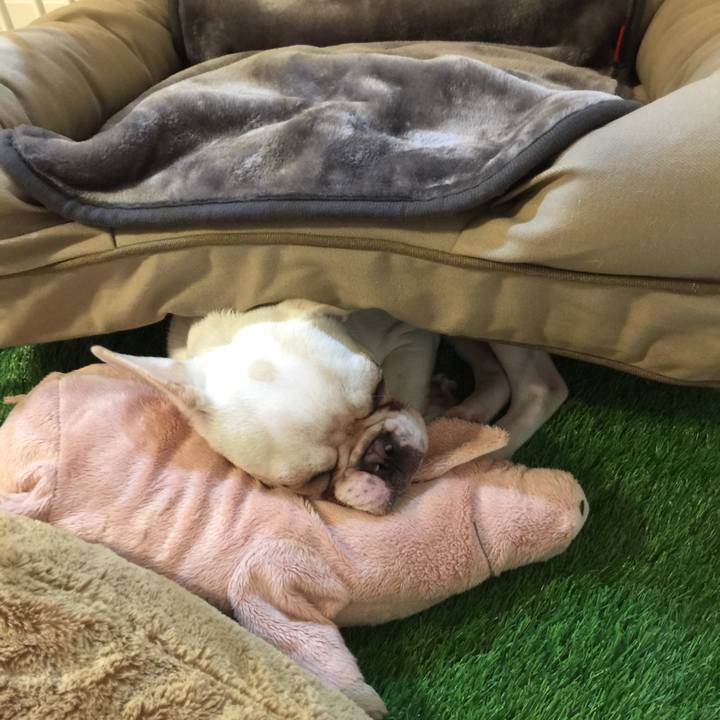 160b4f2c a0e3 4961 afa3 0bcd054fefaa