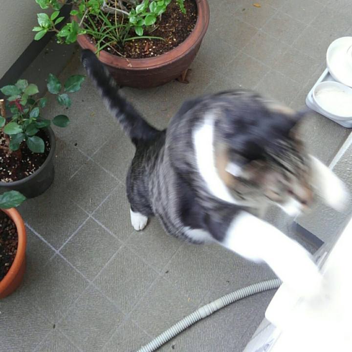 160bc5db 8bd0 42db 9f3f 0b5d6078d280