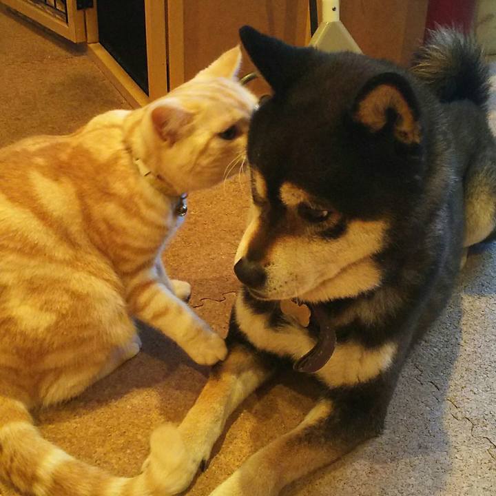 160d0c9b 4f2a 4119 bbd4 4d7f3878e91b