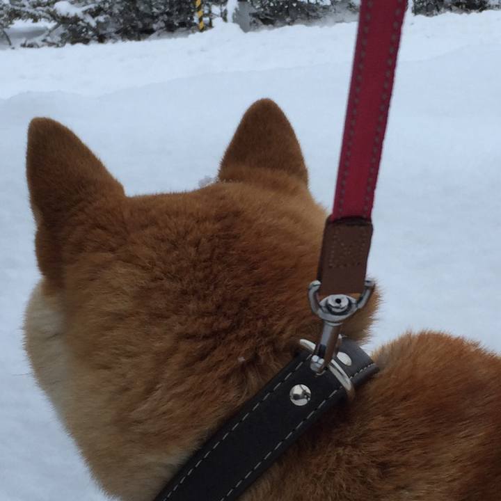 160d63c0 d9c6 4dc4 af59 a0692bf048df