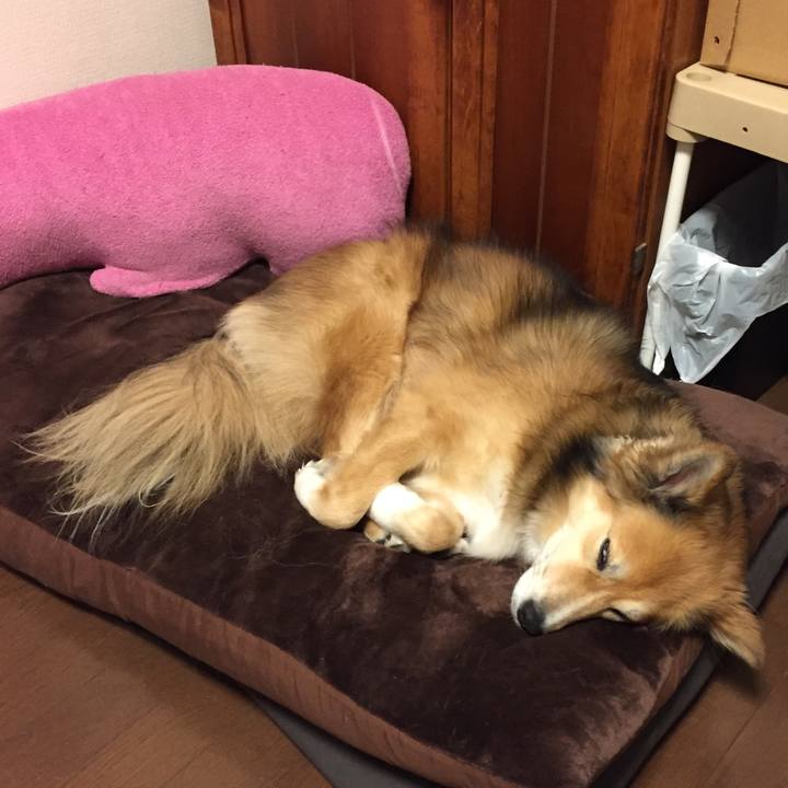 160d6485 04ea 4be1 b494 8952b28a5ee2