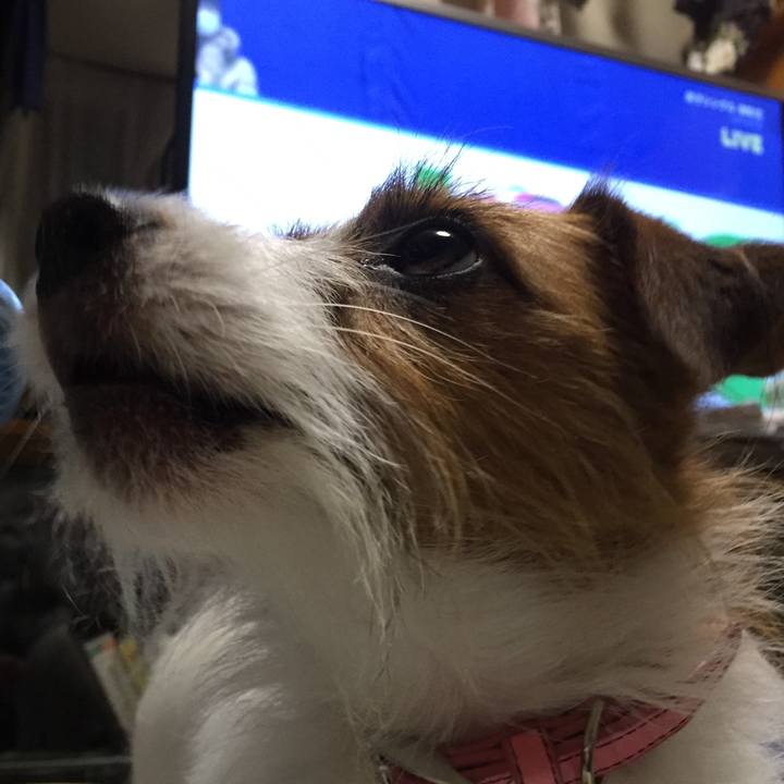 160dd23a 4c48 443b 82bb f93f553de30d