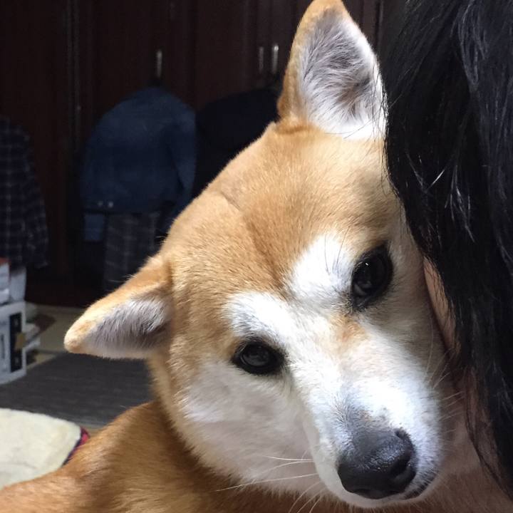 160e09e2 4643 41a4 8e34 639780ddfc8e