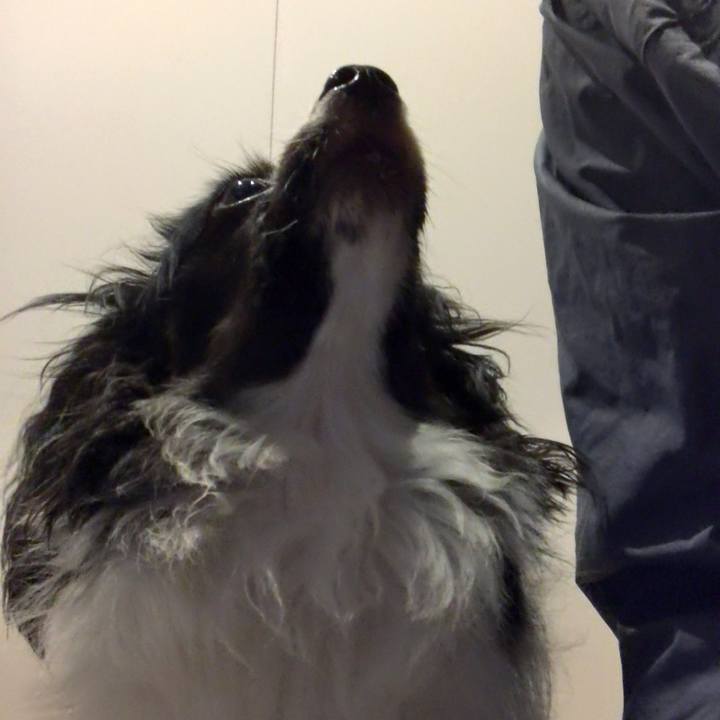 160e4093 9db9 46ed 83c5 0f520a10aa34