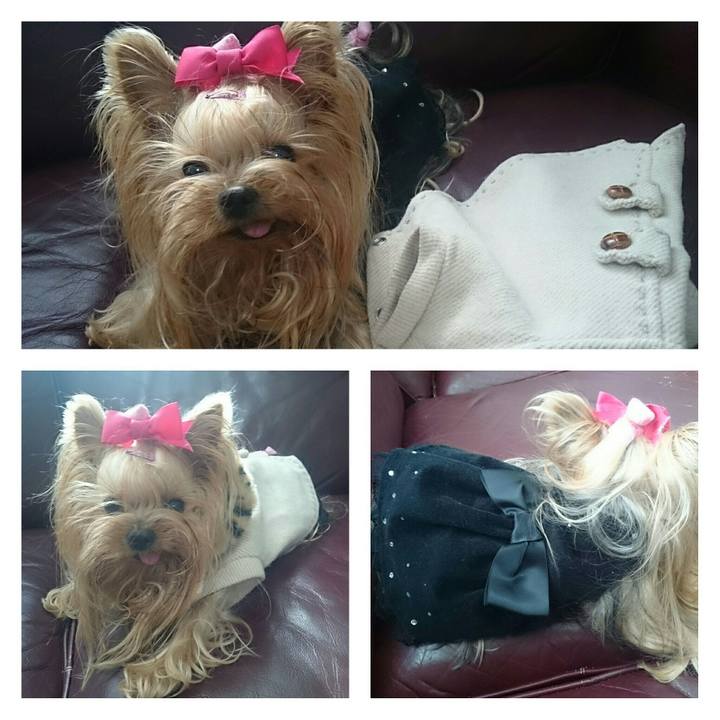 160e900c 0cb8 489f aba6 da81a062e83a