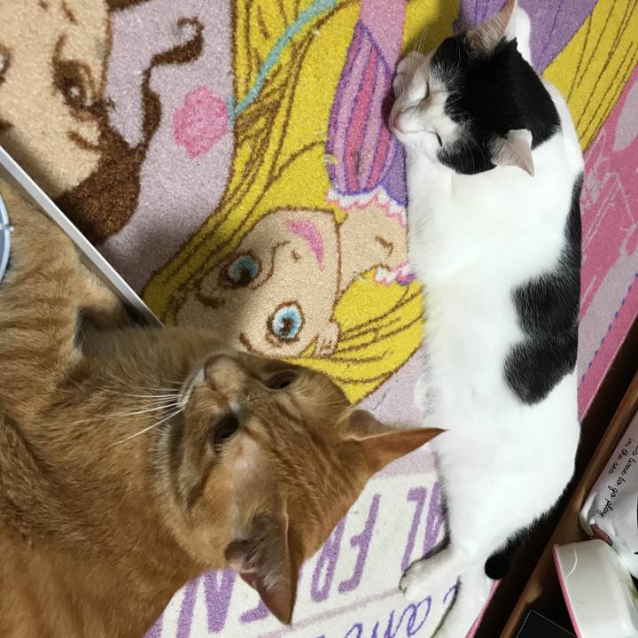 160e9fb5 9cf1 49f5 983c 9ad1b0817f89