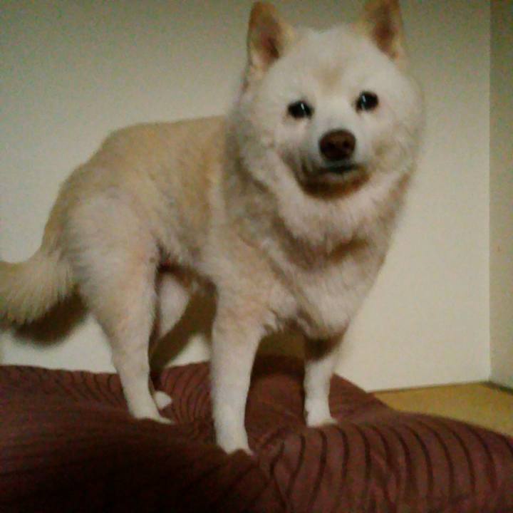 160ebcf5 9e93 47a4 8aa2 1726cdbfaf5a