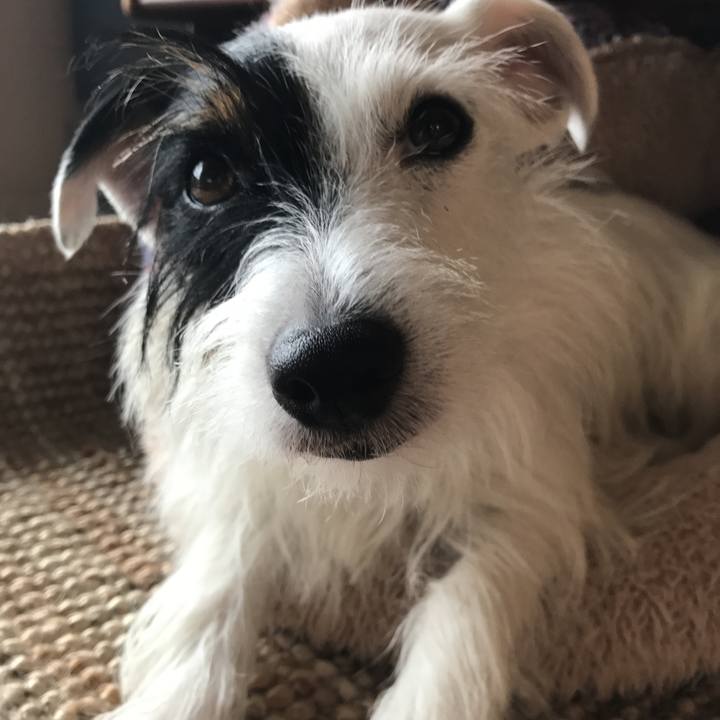 160edb26 ccfa 4725 b10d b15e4616e120