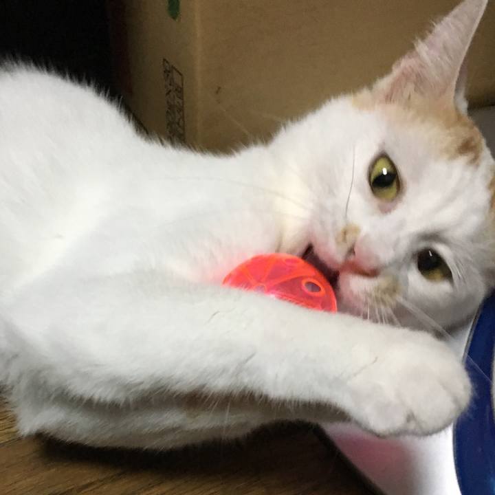 160f2493 844f 49d5 ac96 0ba03a3cb0a5