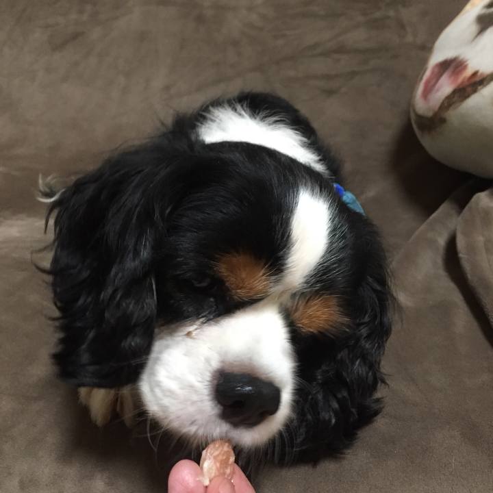 160f2874 9f6a 444f 806b 7722ec25b6ef