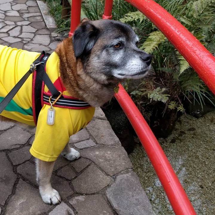 160fd175 0222 4eb9 a0f1 735f6312ca8b