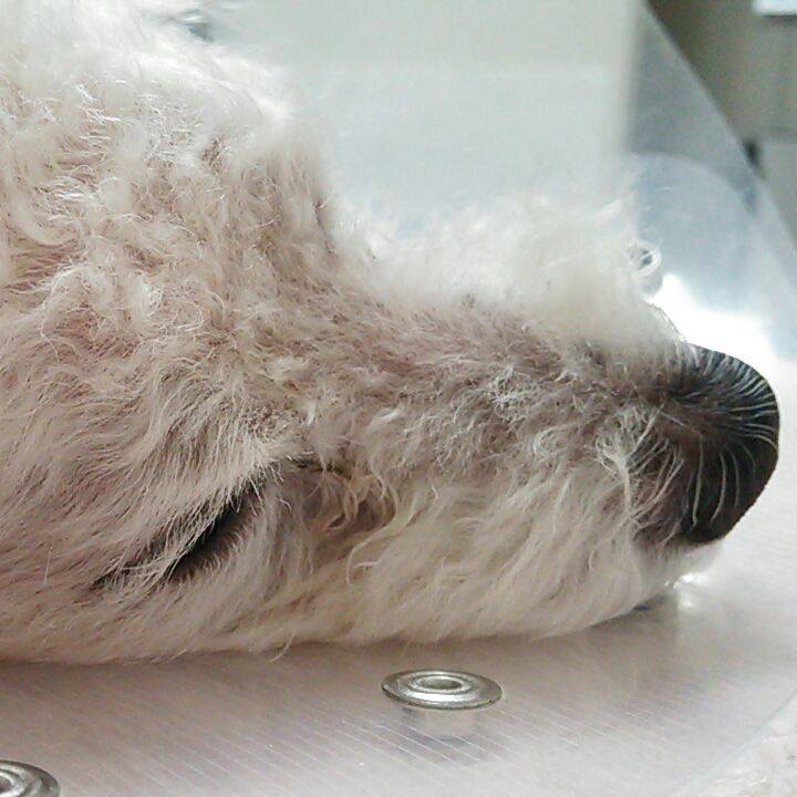 1610ec48 5c03 4280 8fd4 dfaa0516831b