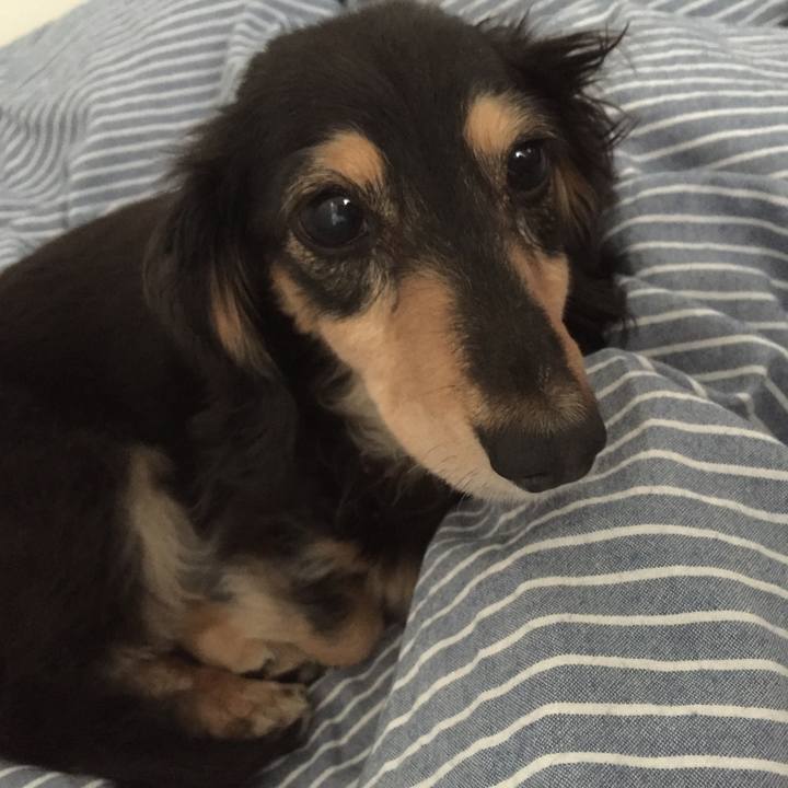 1610fac3 b413 4097 8b3c 2dd30d11d14b