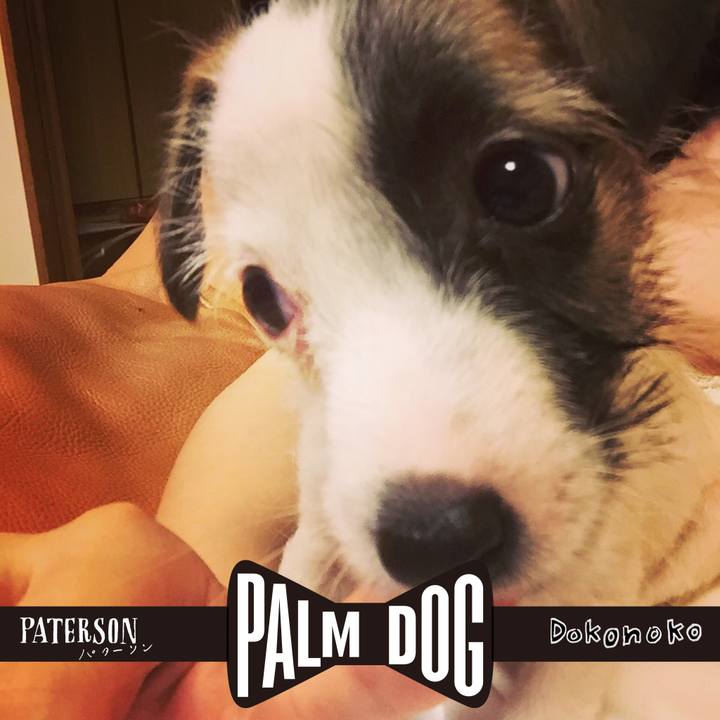 1610fda0 3eba 4097 86e1 29eab7358ad7