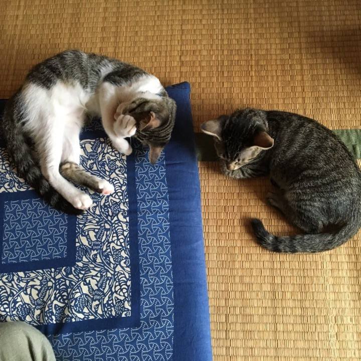 161140ac edf1 4d50 a371 763aed54f23c