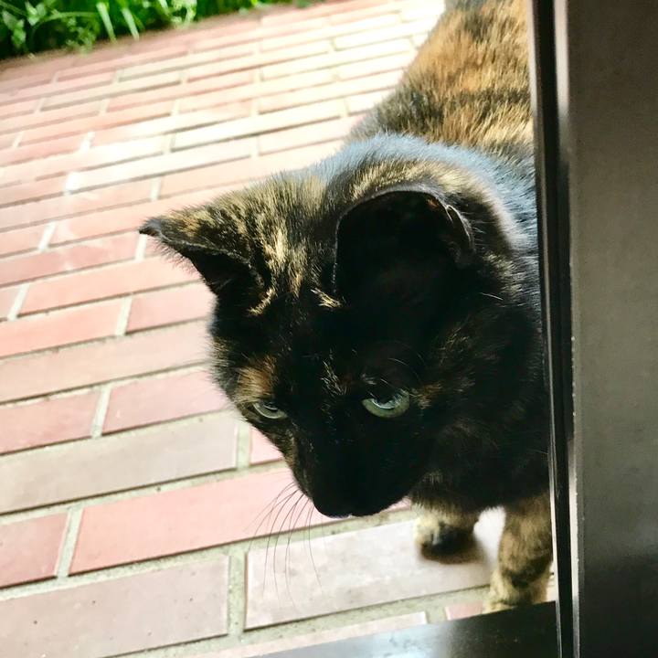 1611e8ac 31f0 4a00 a63f 39691935042f