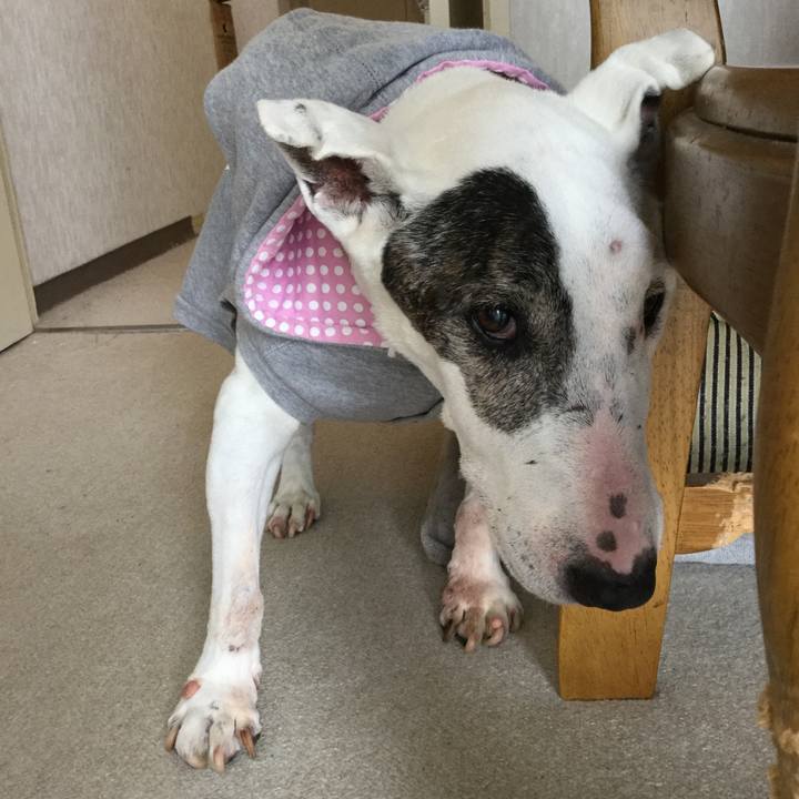 161265b1 2845 4bea af94 13d837a745c6