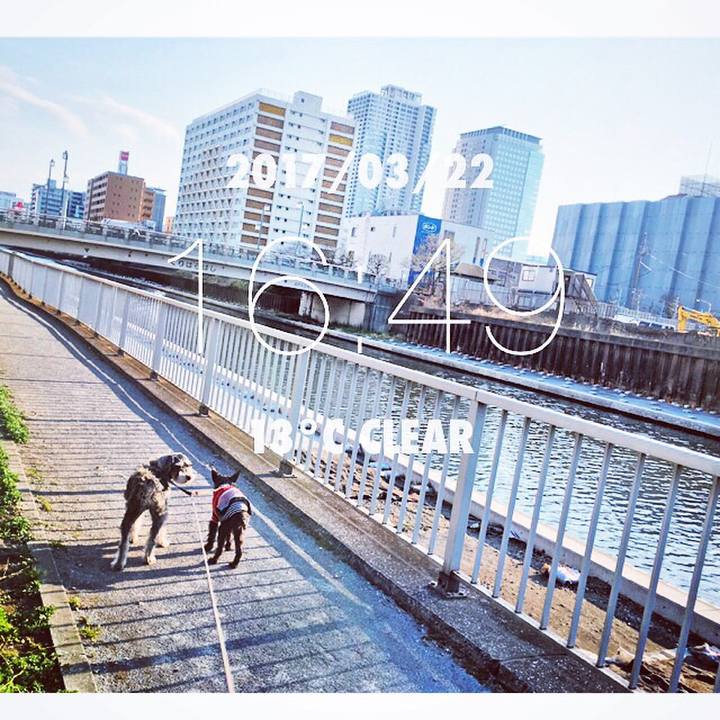 1612cf90 22ab 476f b0be bad0448c90b0