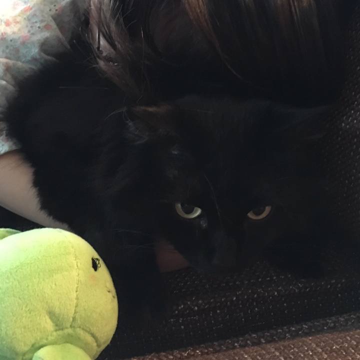 16148c3c 95c0 489e 8897 d1989721ca05