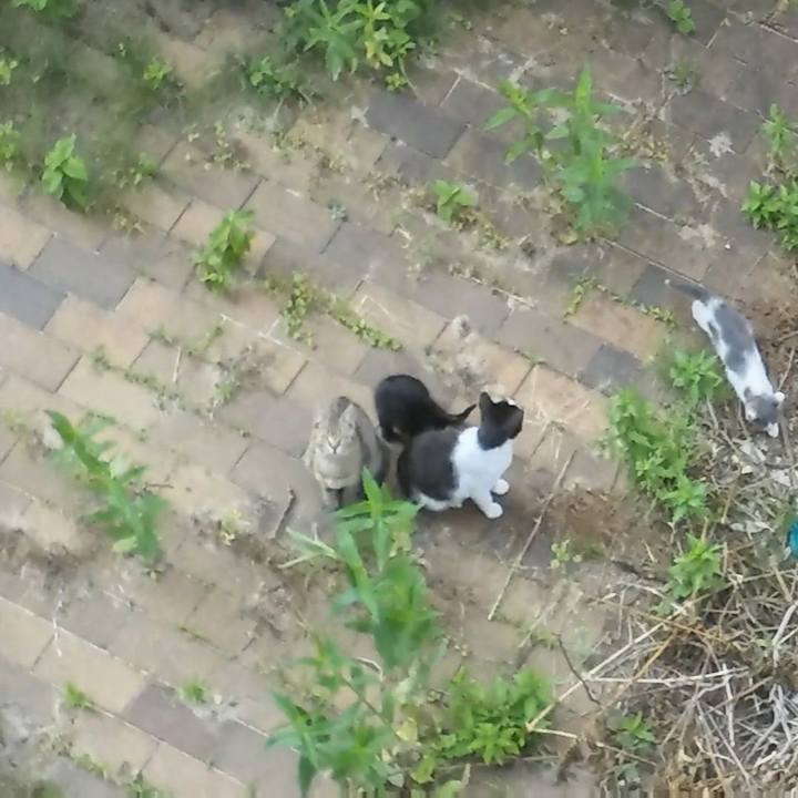 1614a7e4 ab5e 4d92 a86f 5e3c7887e3c5