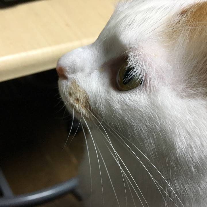 1614bef1 560f 4f4c a293 e57d2d06d1e8