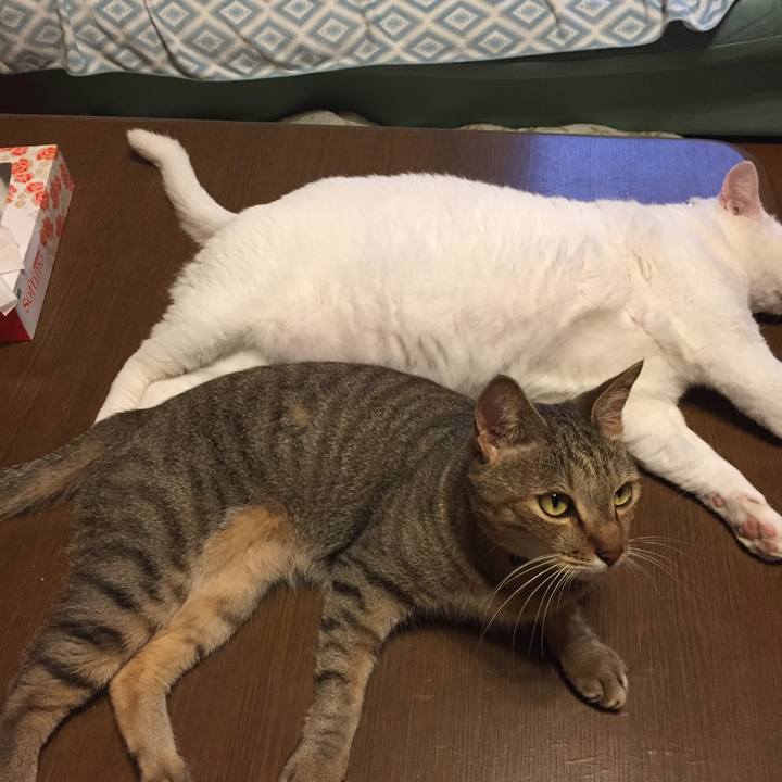 1614e66a e9e4 4ddf b8df 6da7cbf2b460