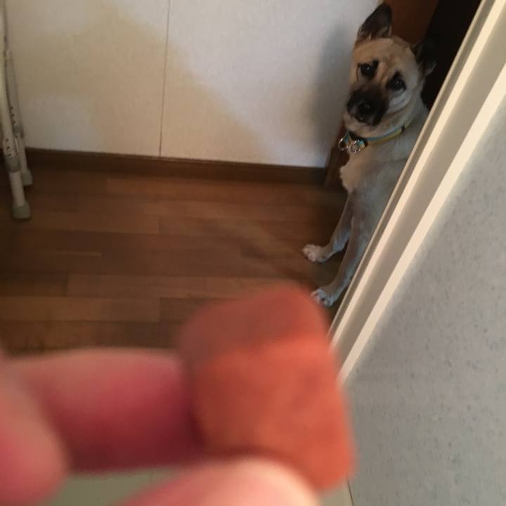 16154704 14c6 4796 b1ee 5d7b90afdab6