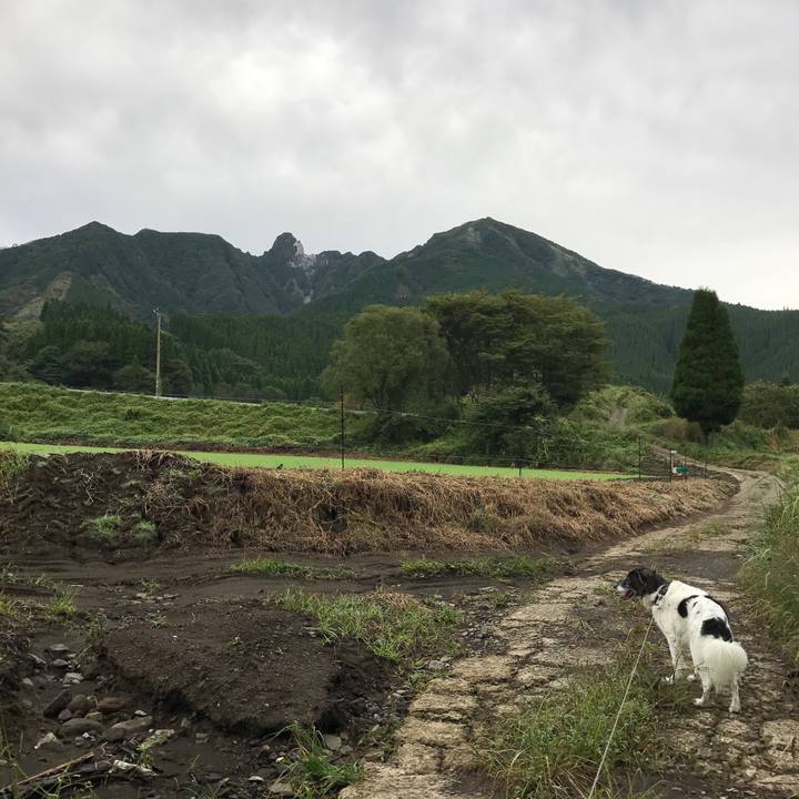 161556a0 2dc3 4cf0 b45f 8c88cf946c52