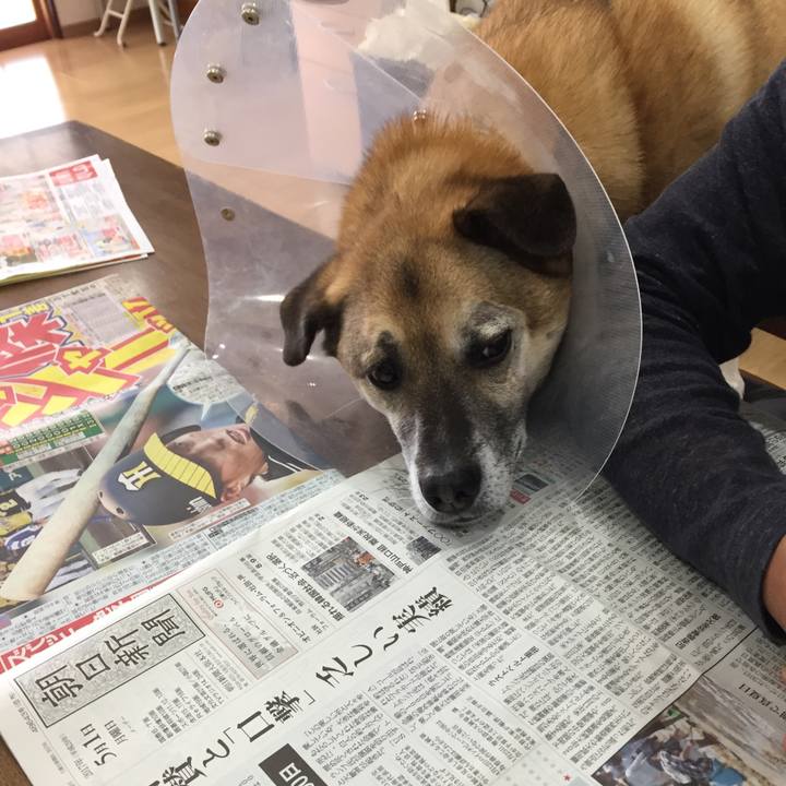 161558e5 b098 46a9 8e29 c0ec5ea92929