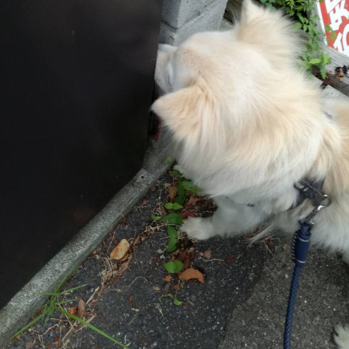 16156fbe 792d 4ec6 bfb7 f8b726f21676