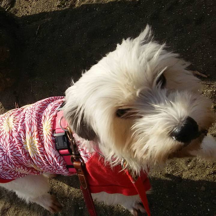 161587fe f854 4be8 bd2a 58af0f606f68