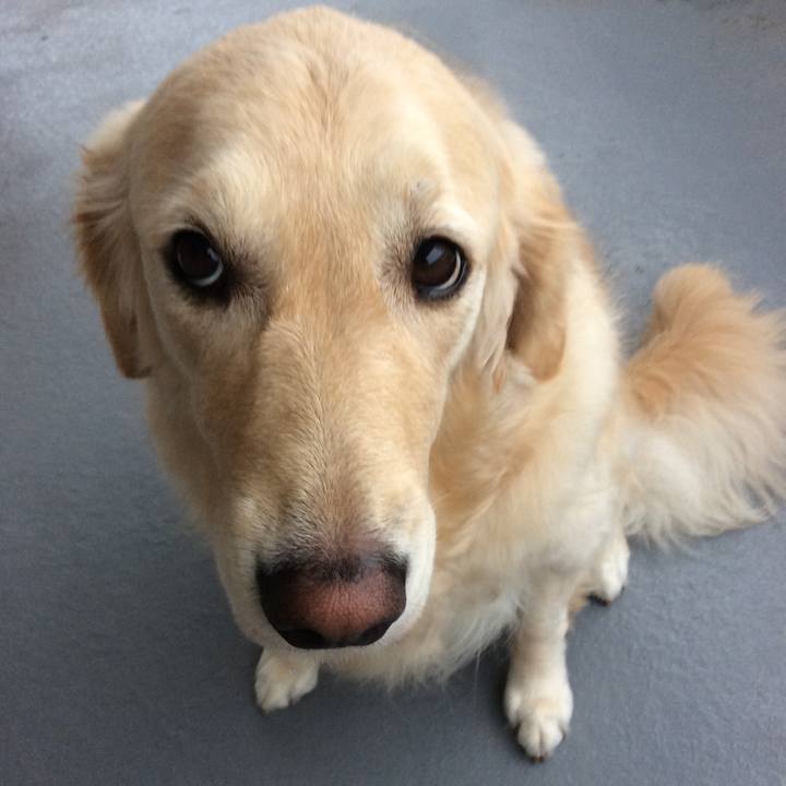 1615b351 8631 4ac8 829b a5f76687793d