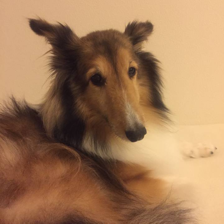 161628d5 200e 49a5 8fd4 cf261ffb0b29